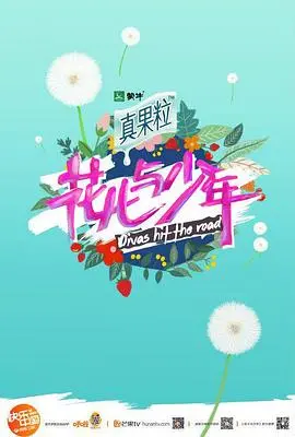 《花儿与少年4》：治愈系旅行慢综艺，明星真性情流露，风景与人文的完美融合！