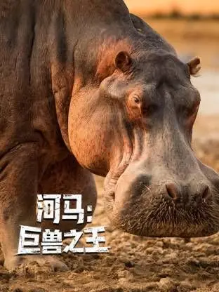 《河马：巨兽之王》：非洲草原的生死时速，探秘河马家族的生存法则！