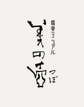 《美之壶》：探寻日常之美的哲学宝藏，从汉密尔顿的匠心独运到生活的细微之处