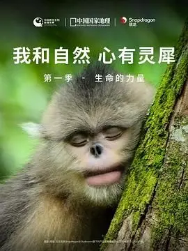《我和自然 心有灵犀》：揭秘生命奇迹，这结局我给满分！