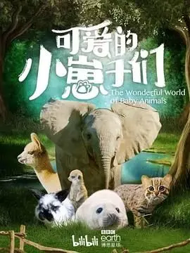 可爱的小崽子们 中文版 海报
